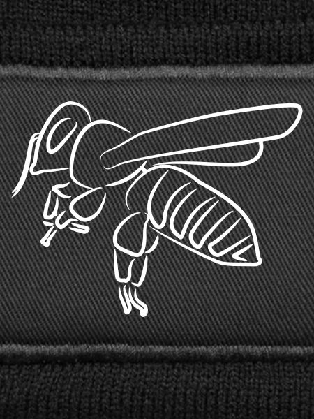 Honey Bee Drawing