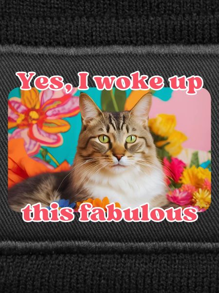 Chat fabuleux