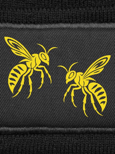 Bee Wasp
