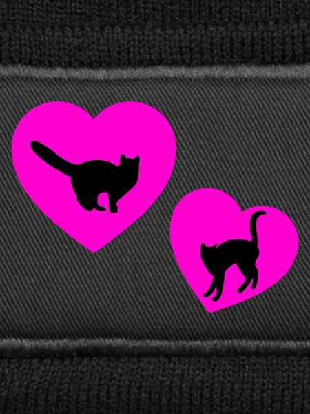 feline
