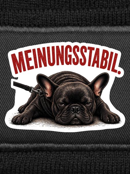 Frenchie – Meinungsstabil Bully