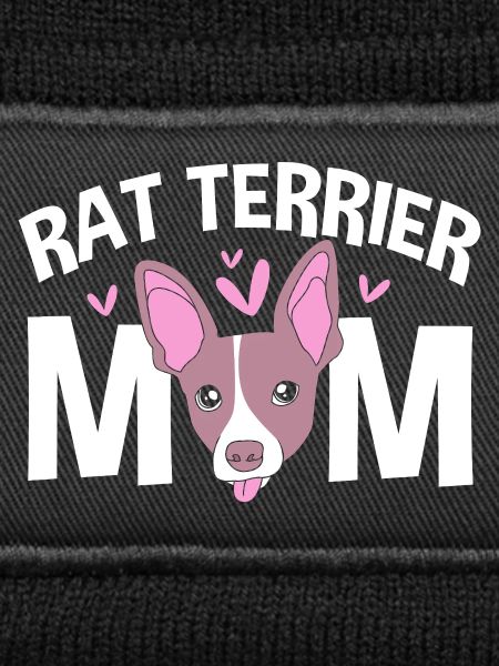 Rat Terrier