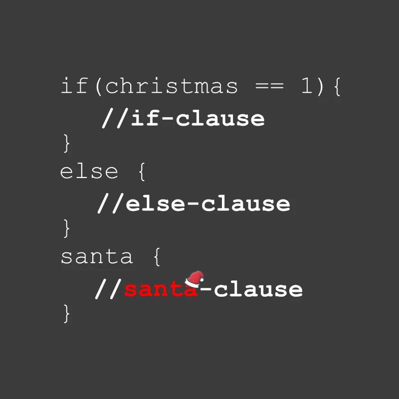 Santa Clause - Christmas programmer gift
