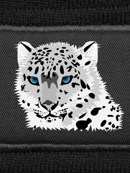 Leopard Cat