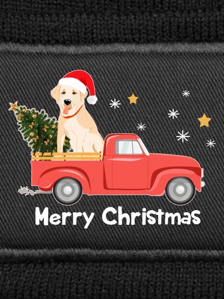 Labrador Weihnachts-Pickup