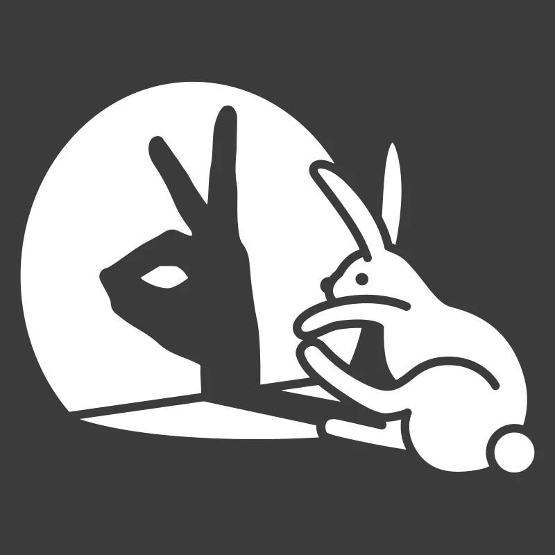 Funny Rabbit shadow hand puppet hare pop art