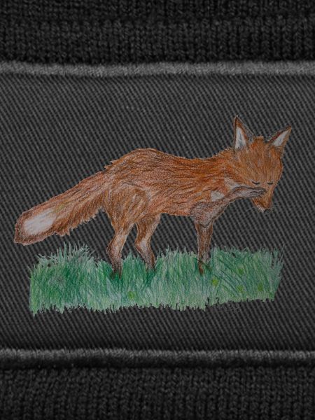 I'm just a fox