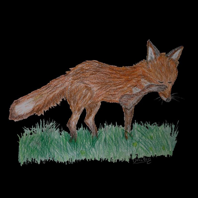 Ich bin nur ein Fuchs