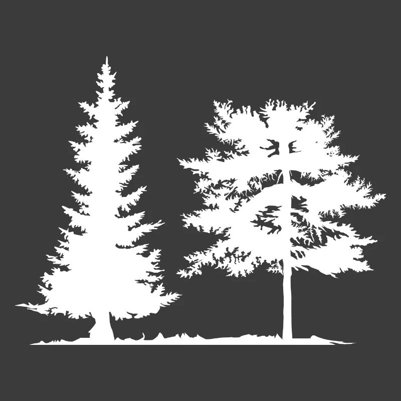 Tree, Spruce, Forest, Camping, Nature, Mixed Forest, Pine