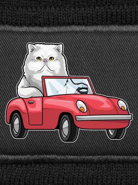 Persische Katze Auto