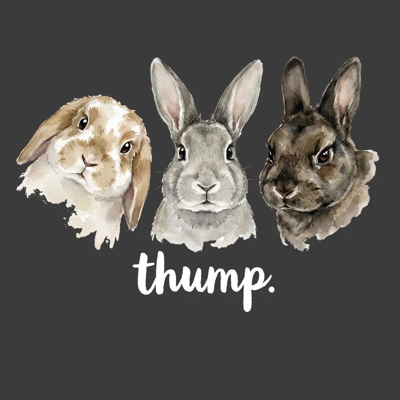 Fun rabbit knocking for rabbit lovers