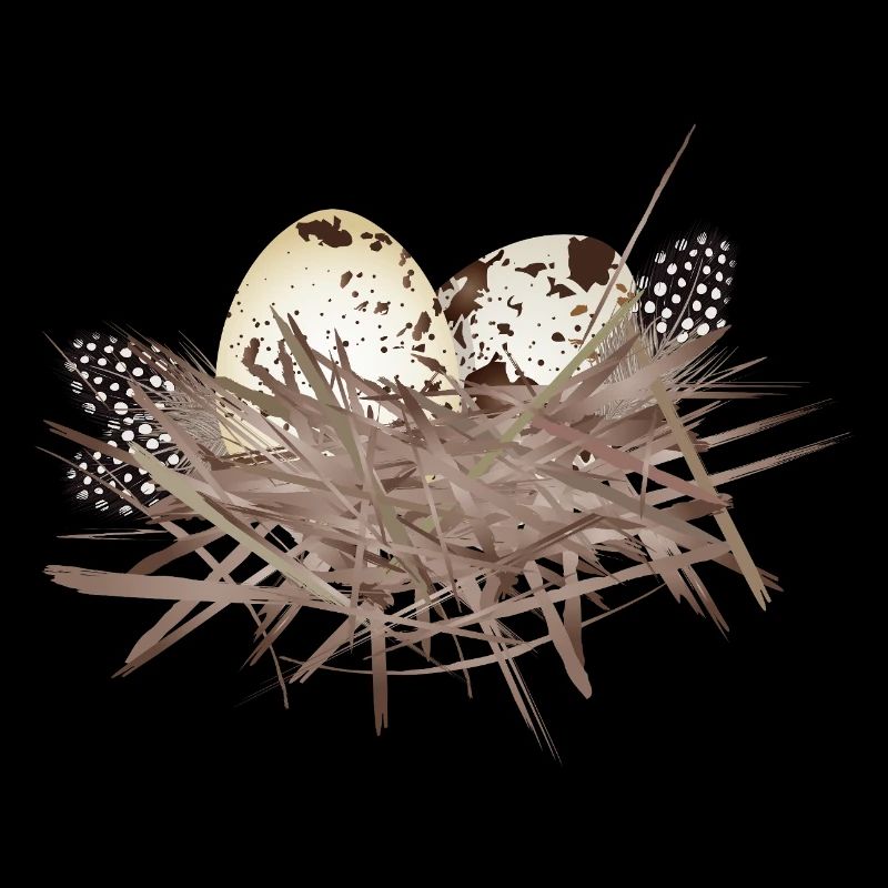 Quail eggs in the nest with guinea fowl feather