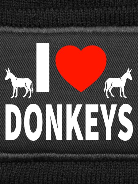 donkey