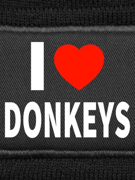 donkey