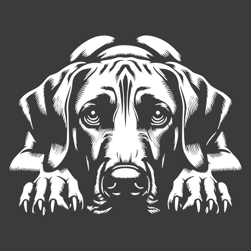 Rhodesian Ridgeback « Édition Noire »