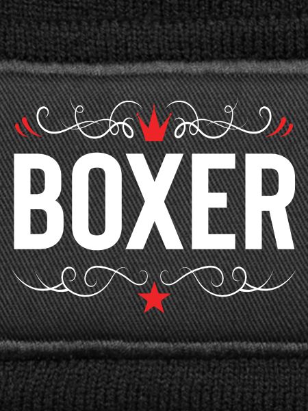 Boxer Boxen Sport