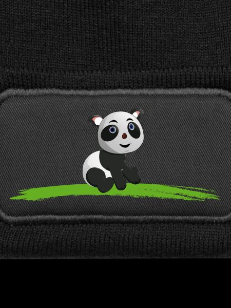 PANDA Baer