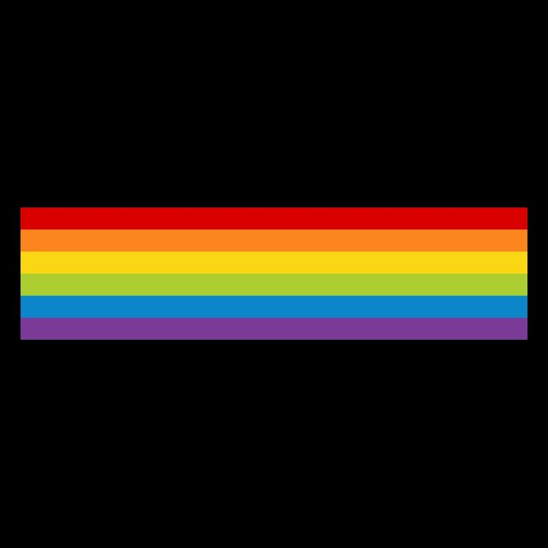 LGBT Pride Flag CSD Rainbow Flag Pride Month