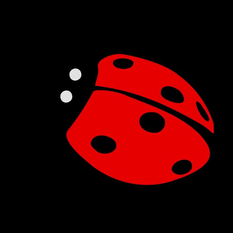 Ladybug