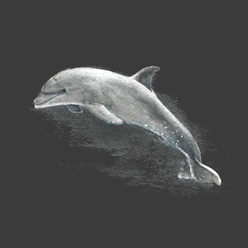 Delphin