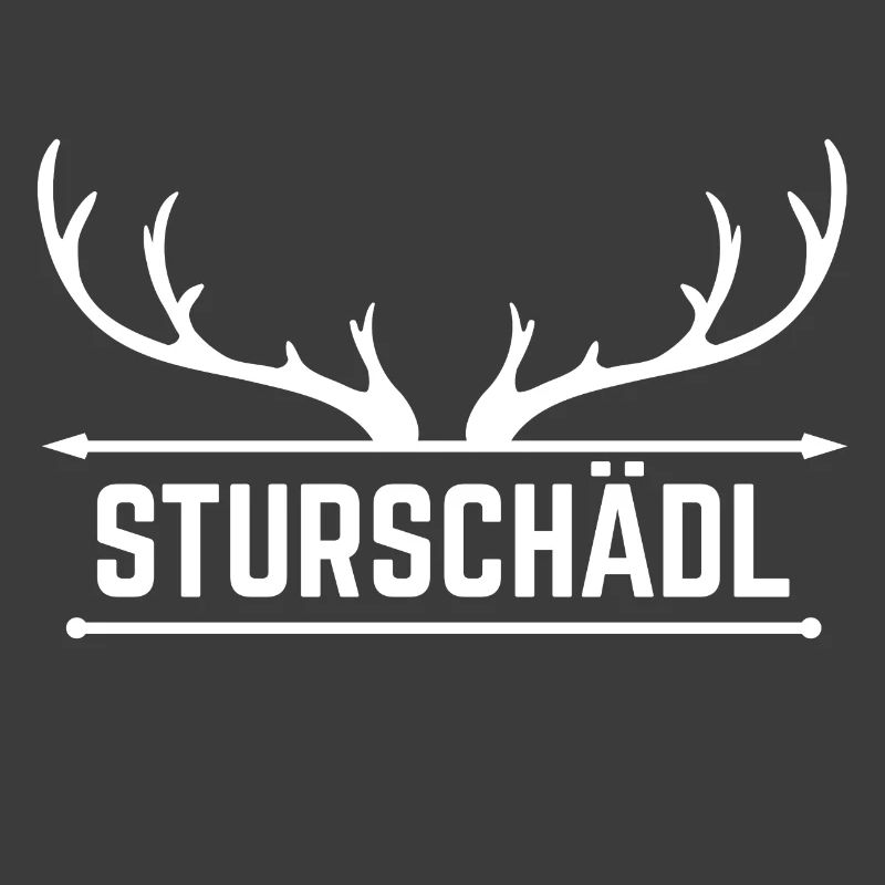 Sturschaedl