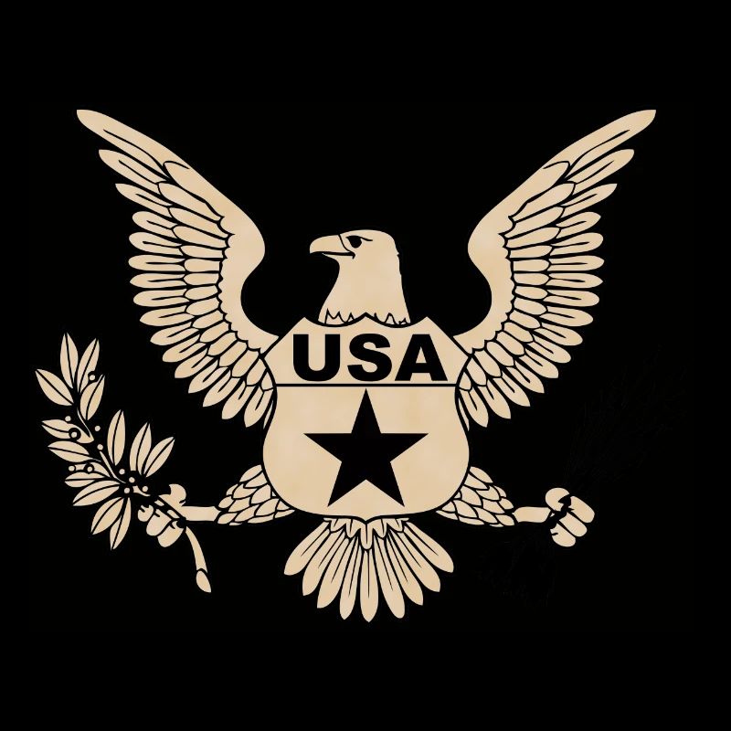usa Armee 2