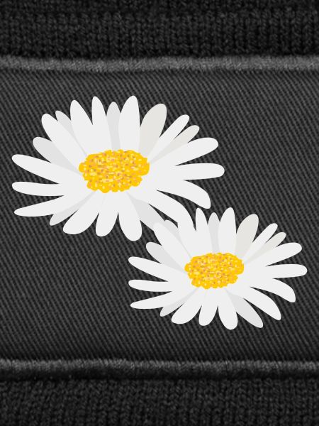 Blume Gänseblümchen