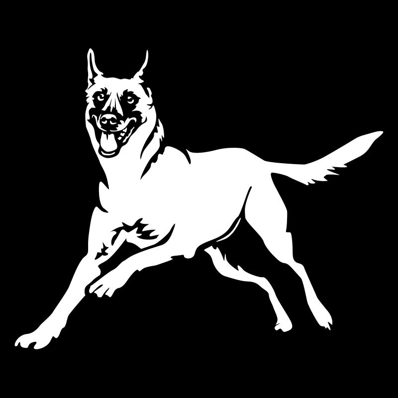 Malinois "Black Edition"