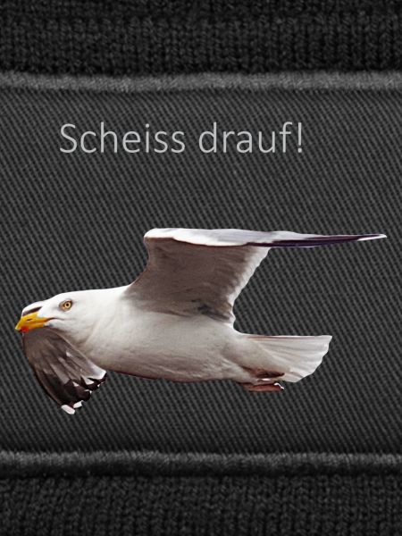 Möwe im Flug Spruch