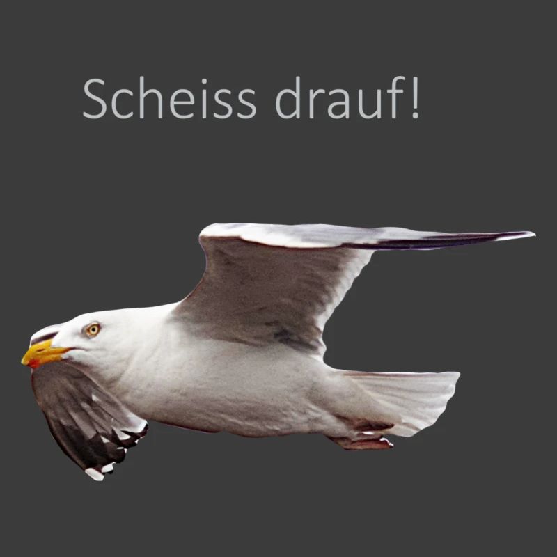 Möwe im Flug Spruch