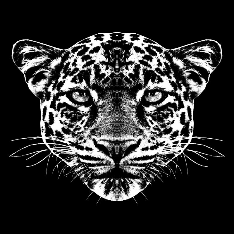 Junger Leopard