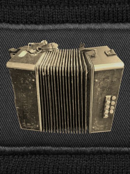 Retro Akkordeon - Sepia