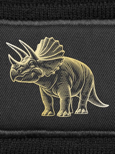 Triceratops Dinosaur Drawing