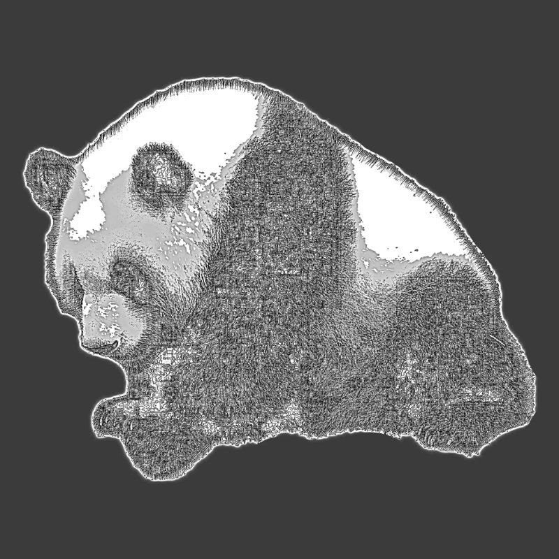 Panda groß