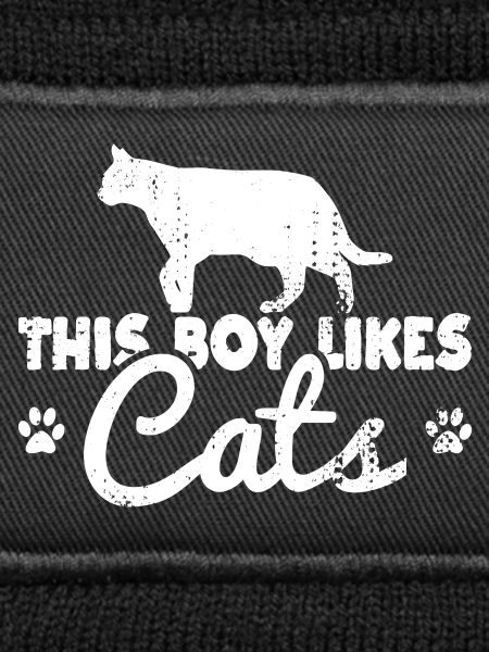 This boy likes cats