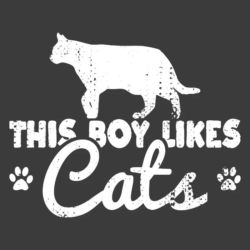 This boy likes cats