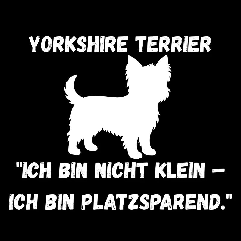 Yorkie weiß
