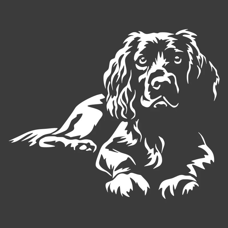 Boykin Spaniel "Black Edition"