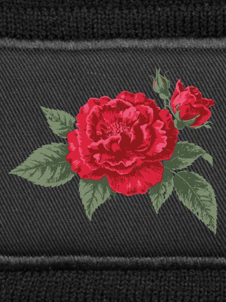 Karmesinrose Blüte