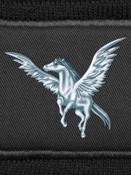 Flying Pegasus