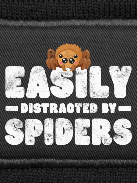Spider Tarantula