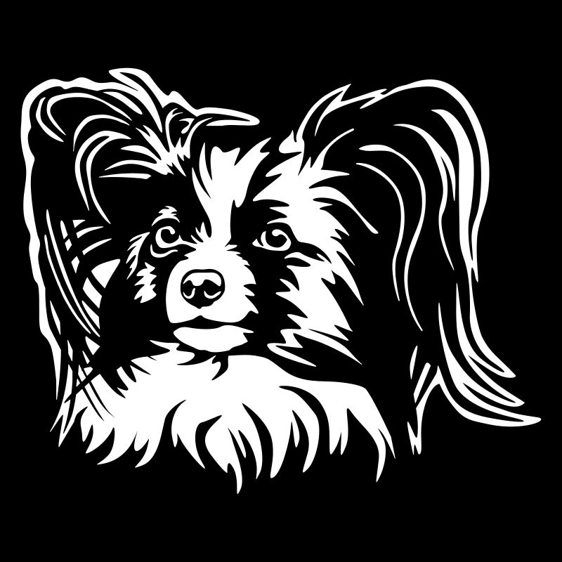 Papillon Head "Black Edition"