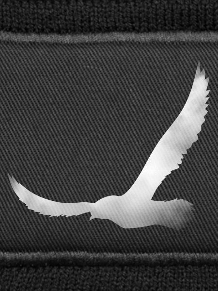 Bird silhouette from cloud