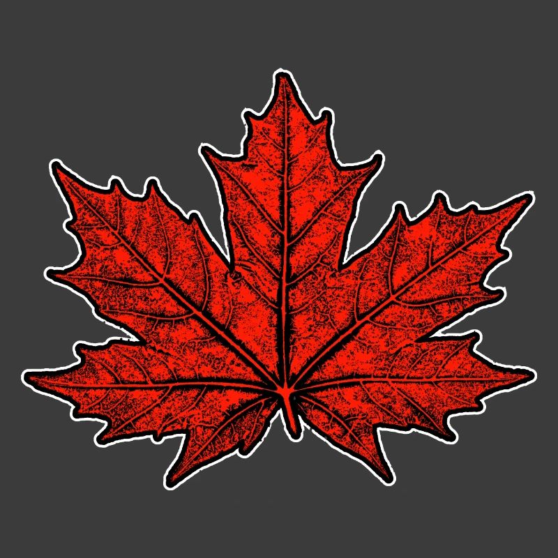 Maple / Leaf