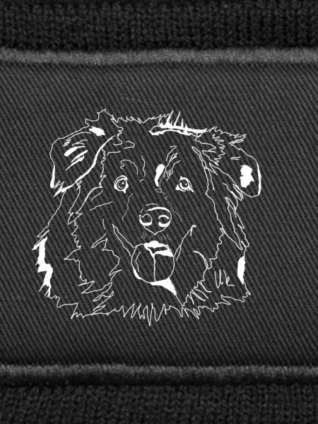 Australian Shepherd