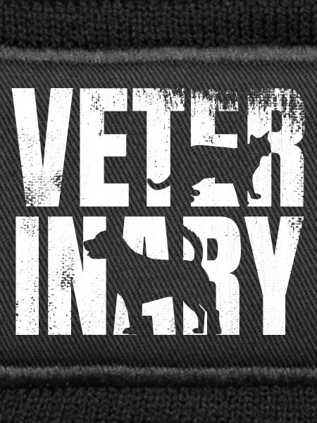 Funny Veterinarian