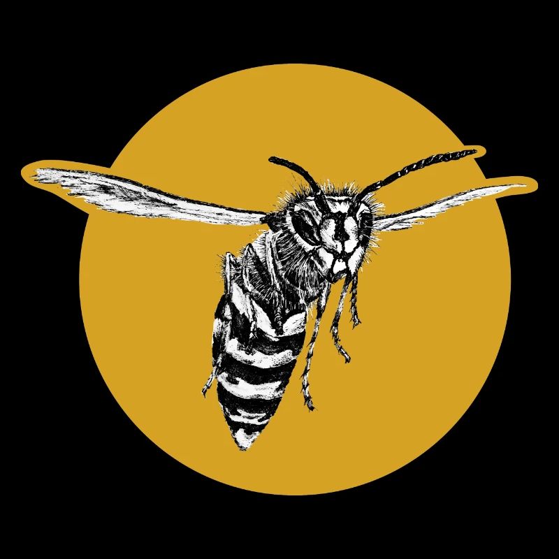 Guêpe - Abeille - Insecte