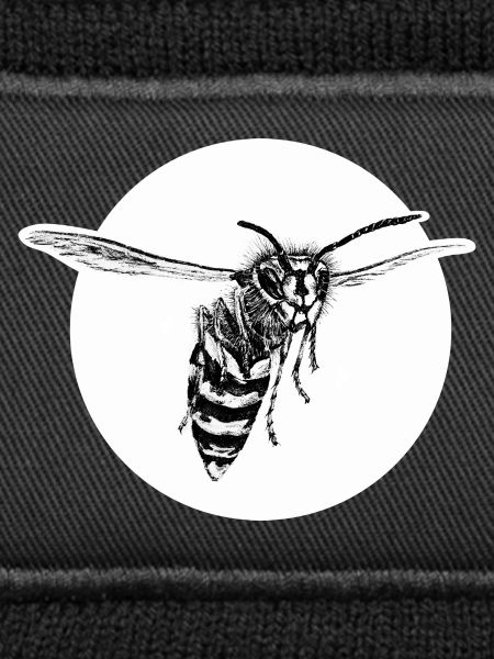 Guêpe - Abeille - Insecte