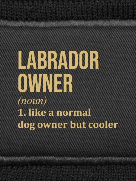 Labrador Labrador Labrador