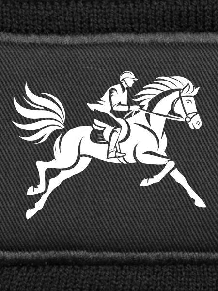 Reiter und Pferd